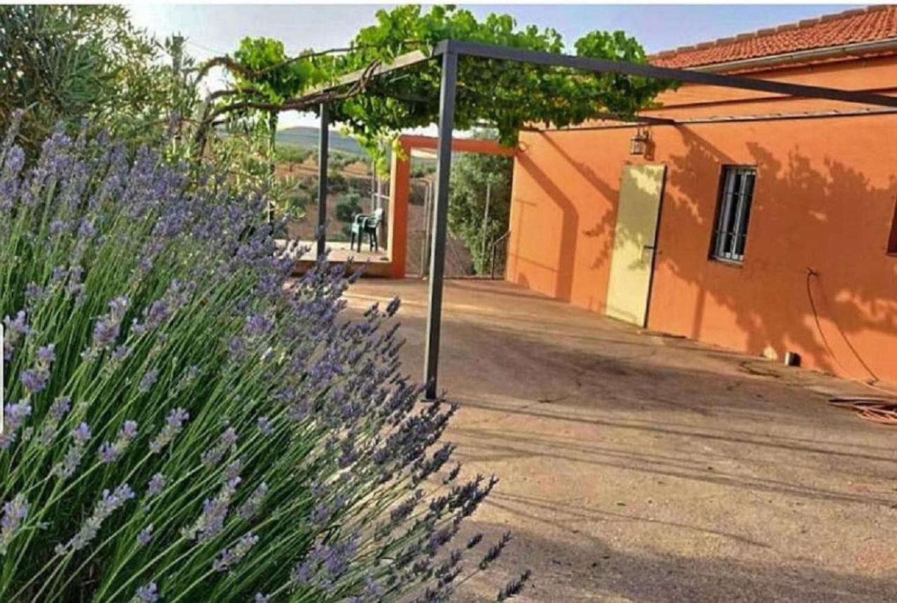 Вилла Cortijo Puente Alhama Альхама-де-Гранада Экстерьер фото